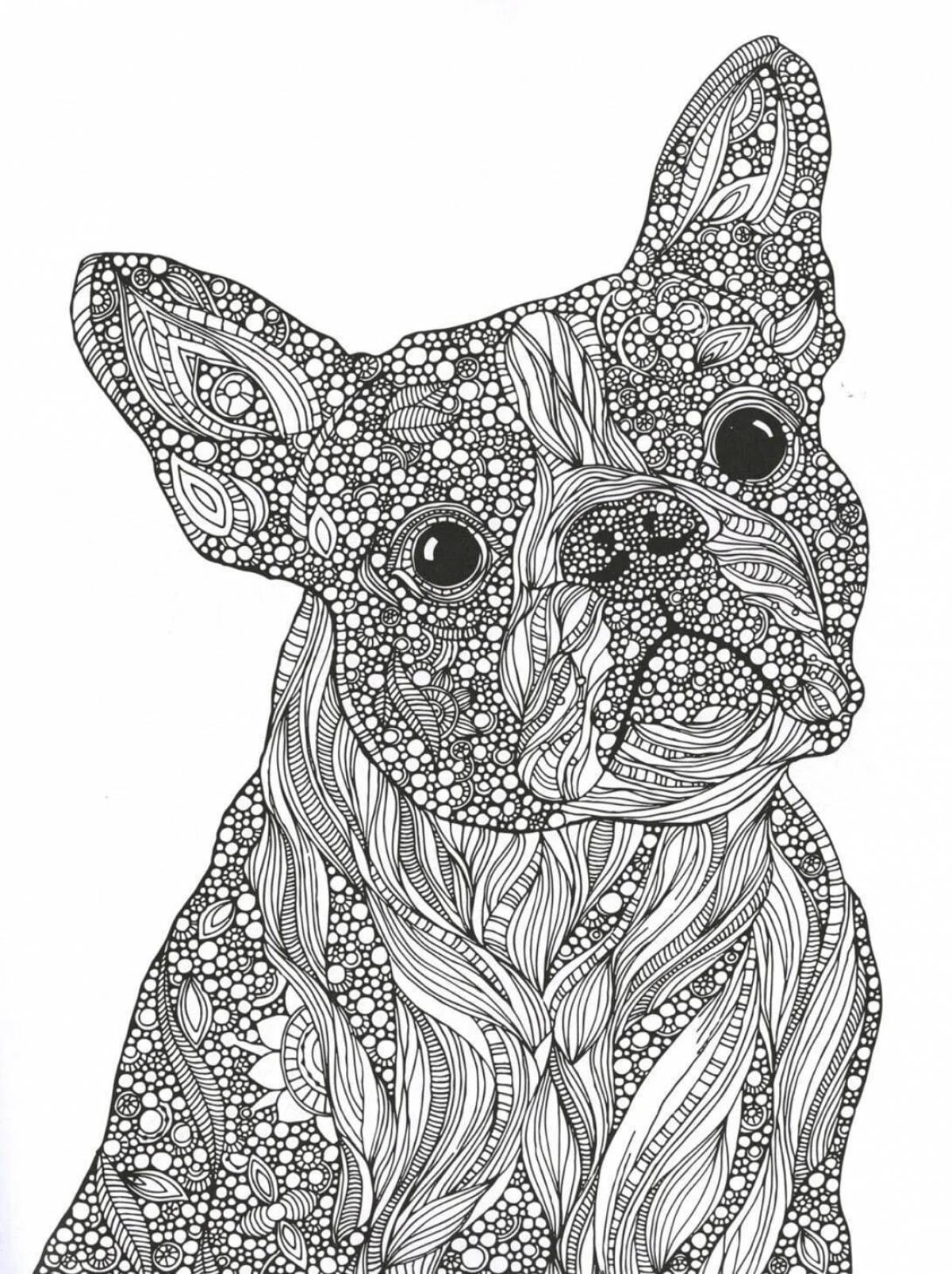 Bright complex anti-stress coloring book