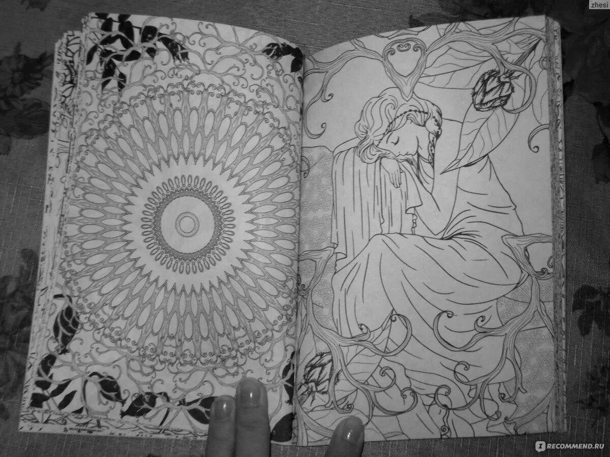 Enchanting coloring book antistress mysterious forest