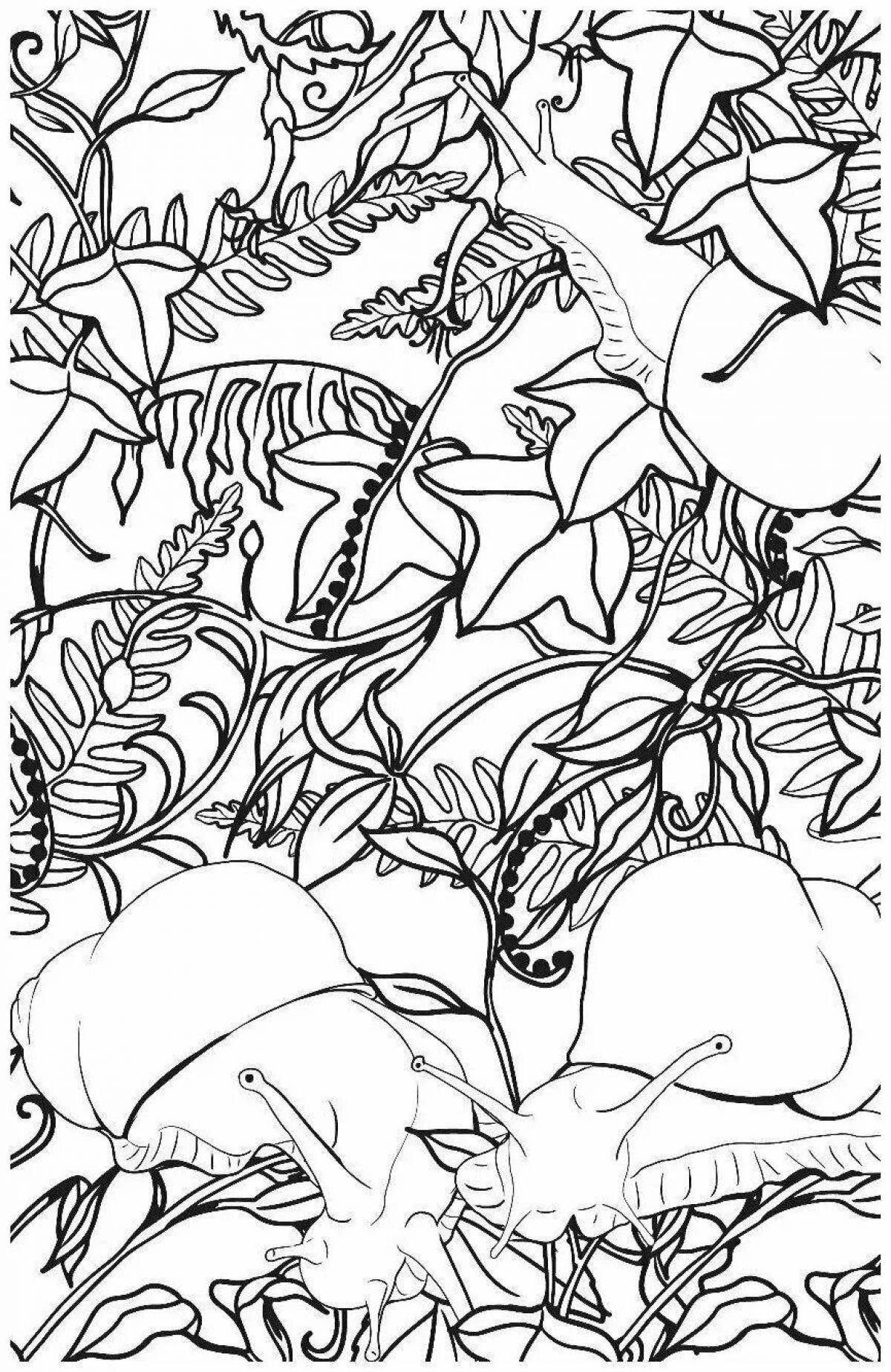 Mysterious coloring antistress mysterious forest