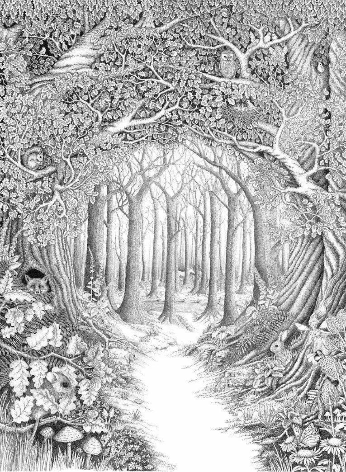 Unfamiliar coloring book antistress mysterious forest