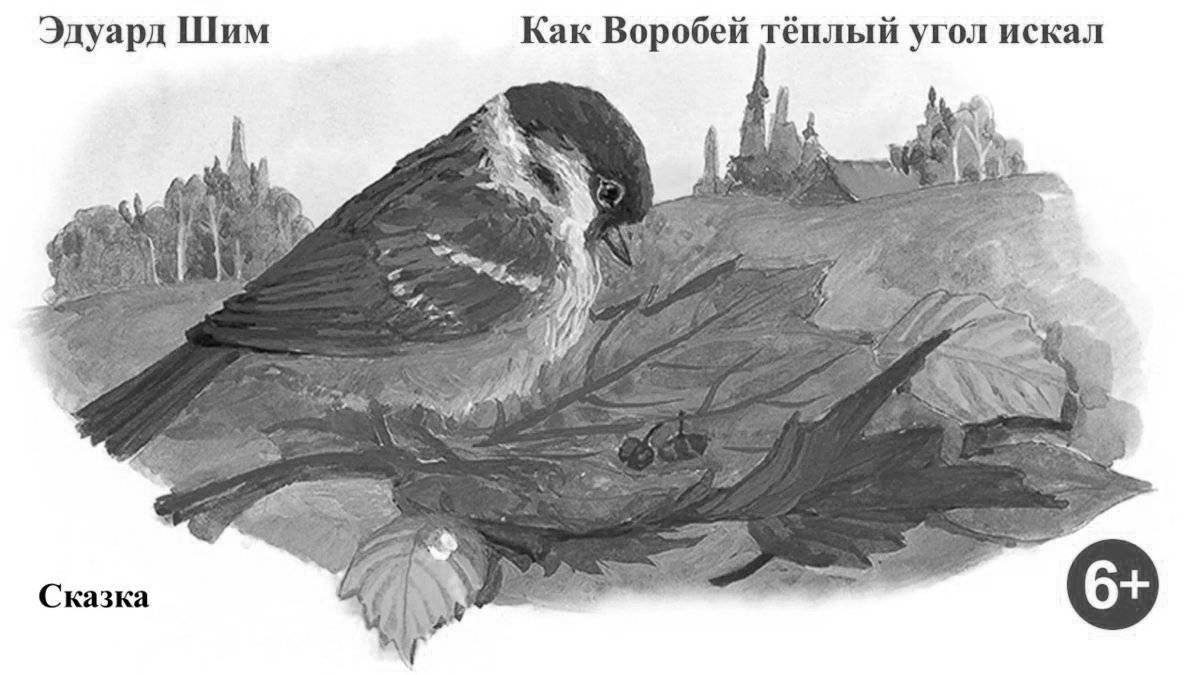 Coloring book colorful disheveled sparrow