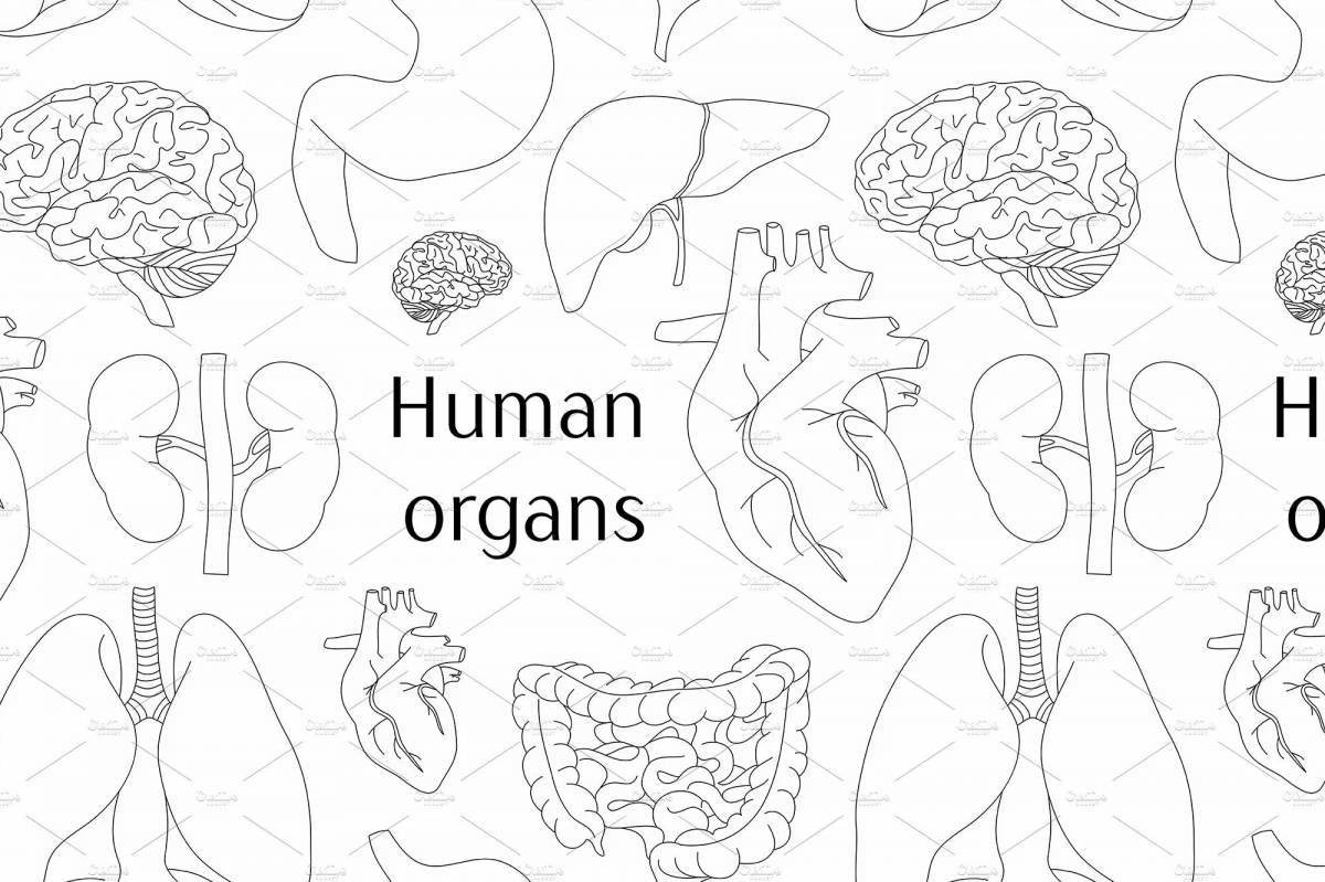 Intense coloring of the internal organs of the human body