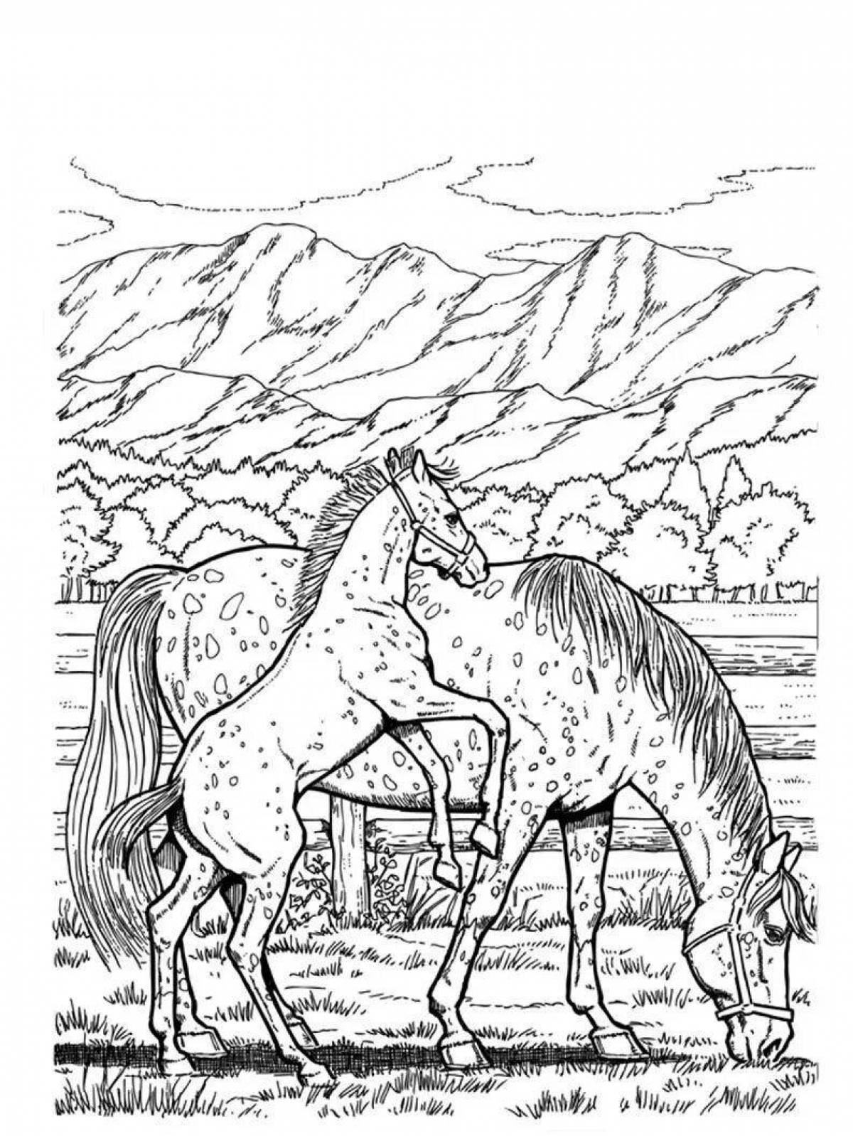 Charming coloring of beautiful horses