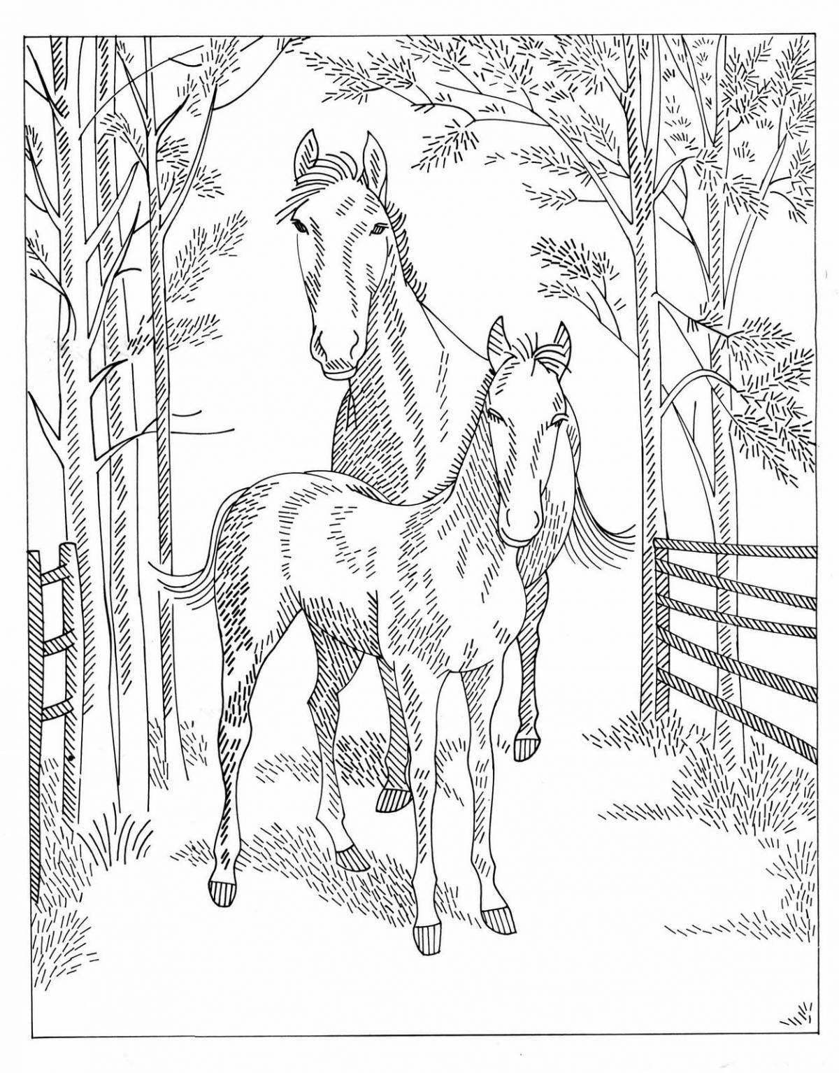 Буйная раскраска красивых лошадей