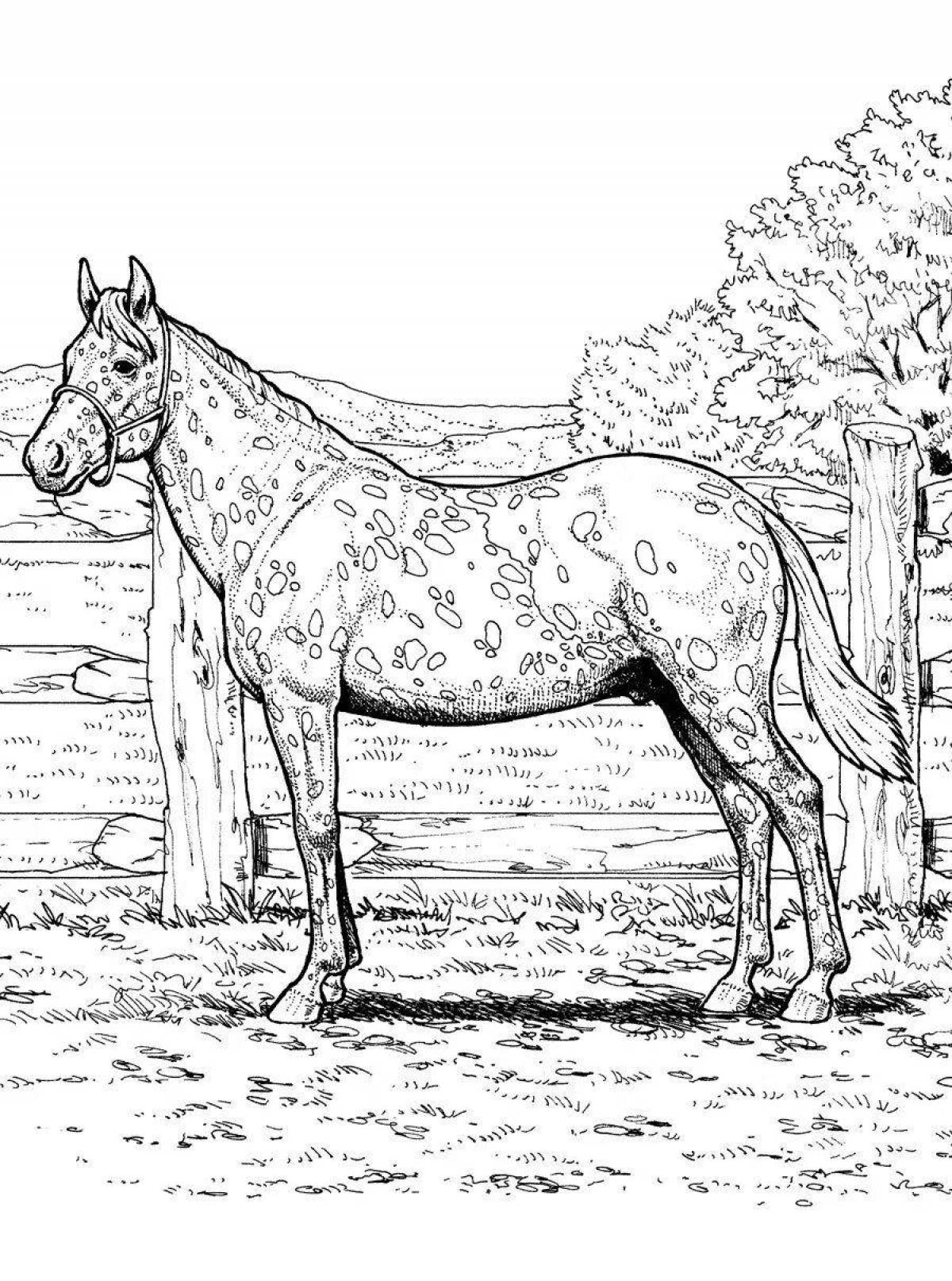Удивительная раскраска красивых лошадей