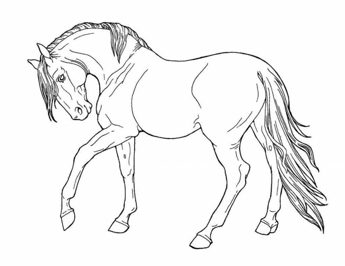 Exalted раскраска прекрасных лошадей