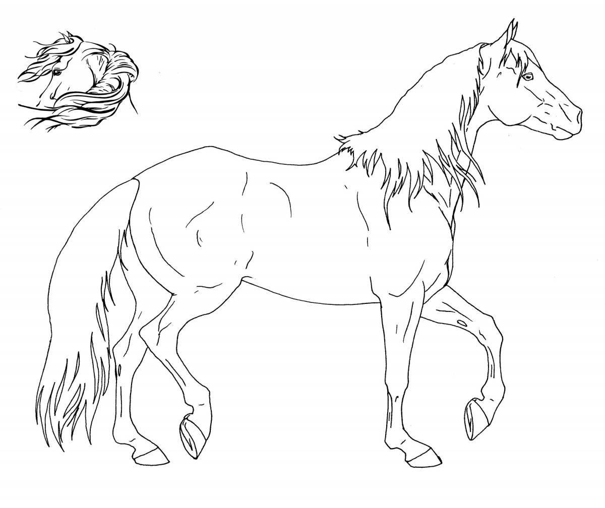 Королевская раскраска красивых лошадей