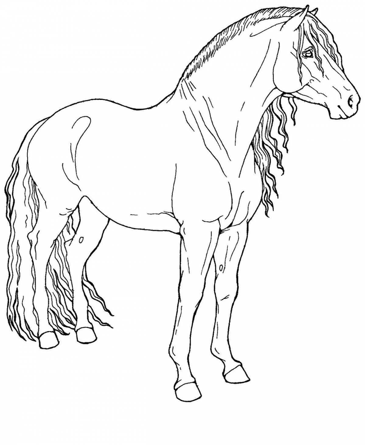 Грандиозная раскраска красивых лошадей