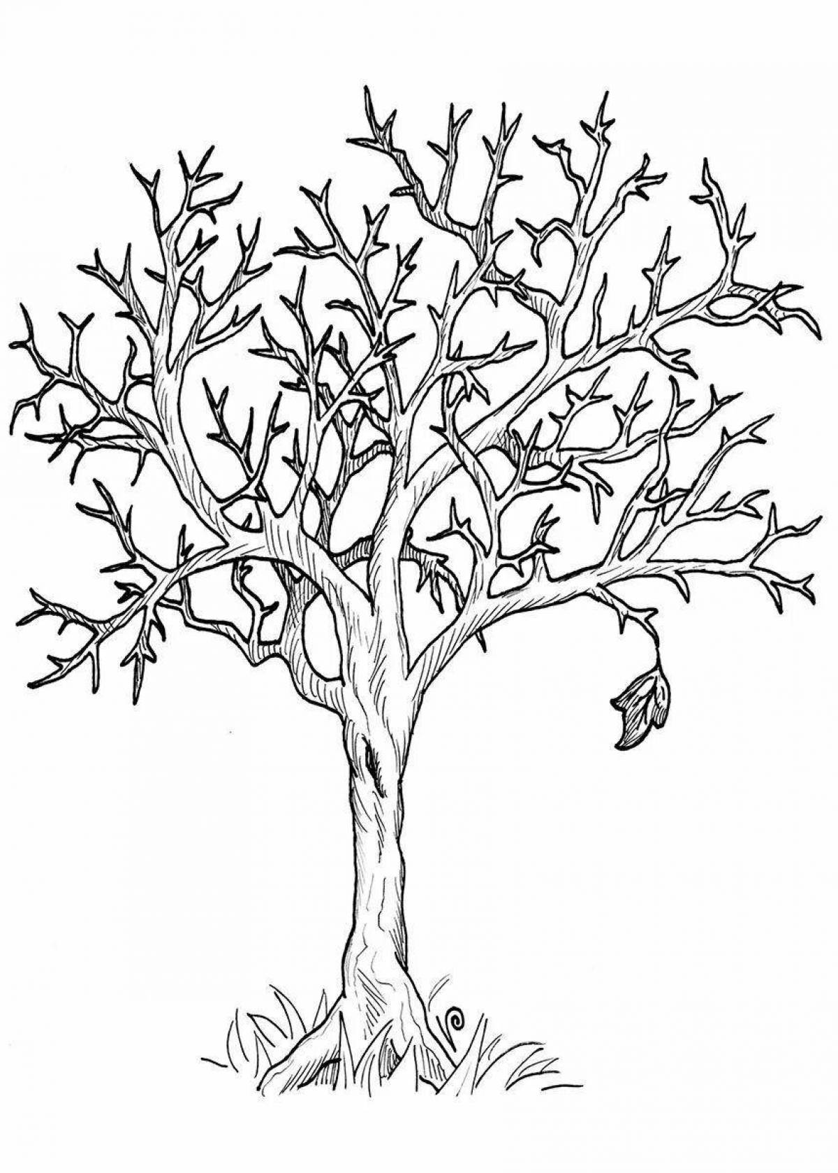 Изысканная раскраска дерево без листьев