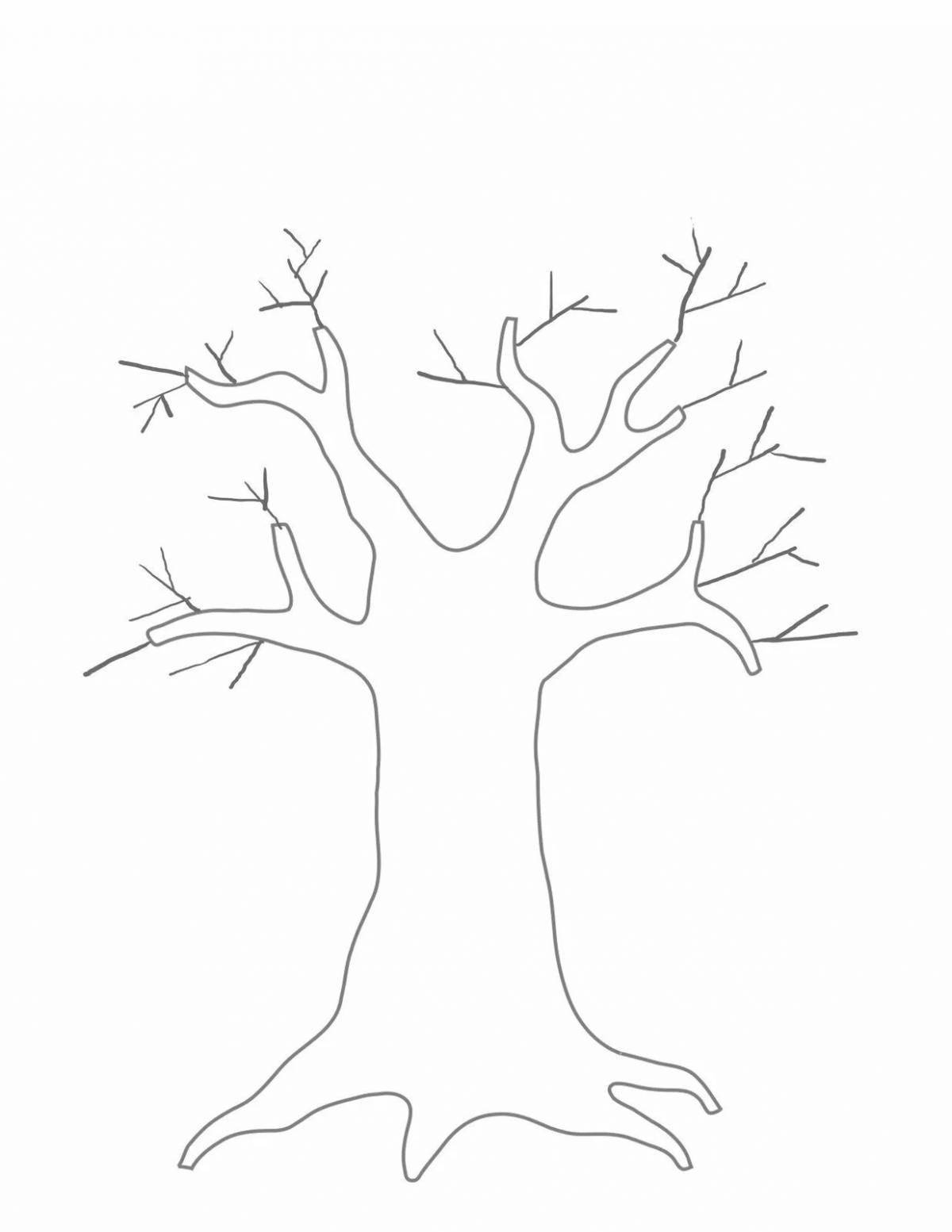 Shiny coloring page tree without leaves outline