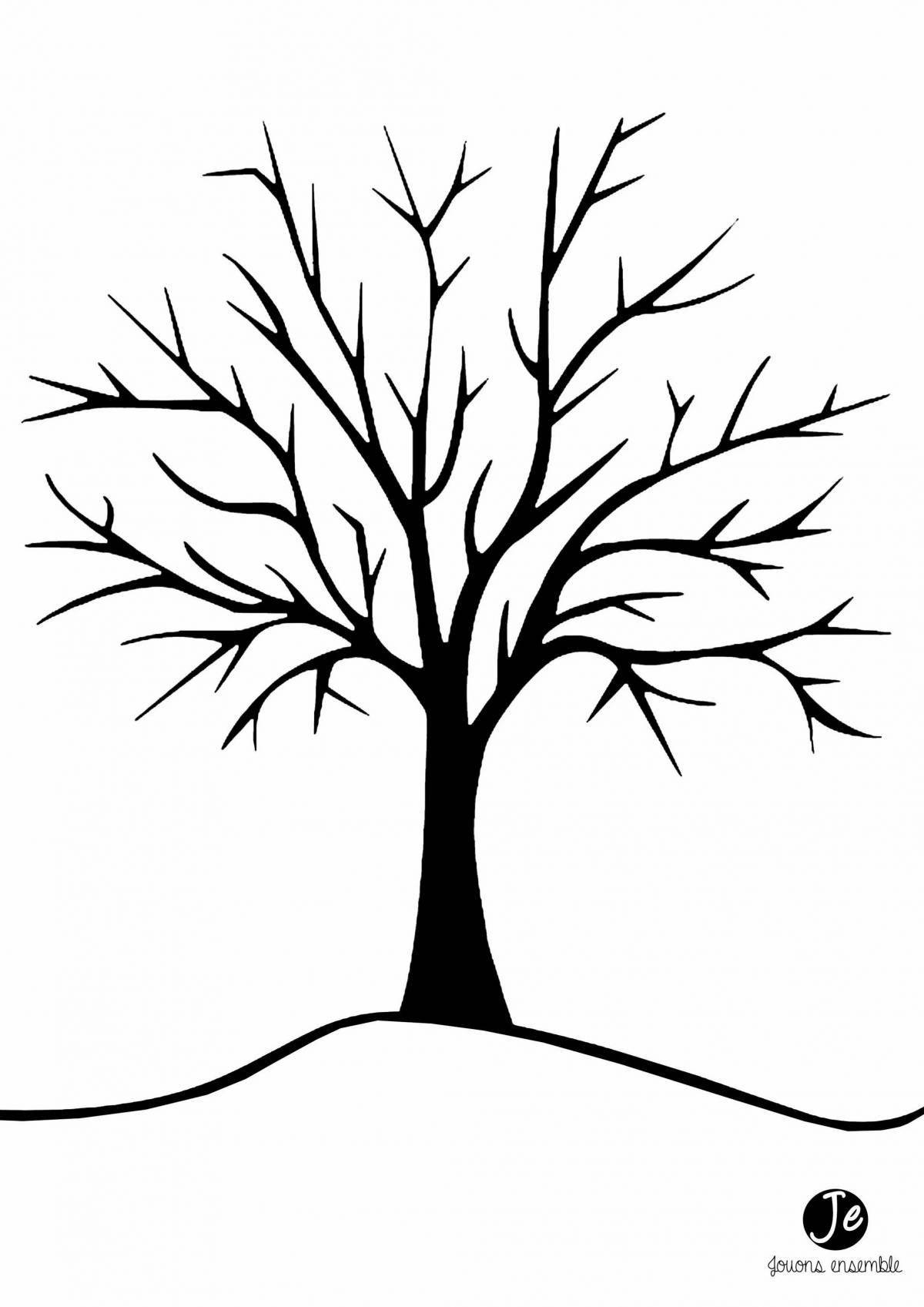 Beautiful coloring tree without leaves outline