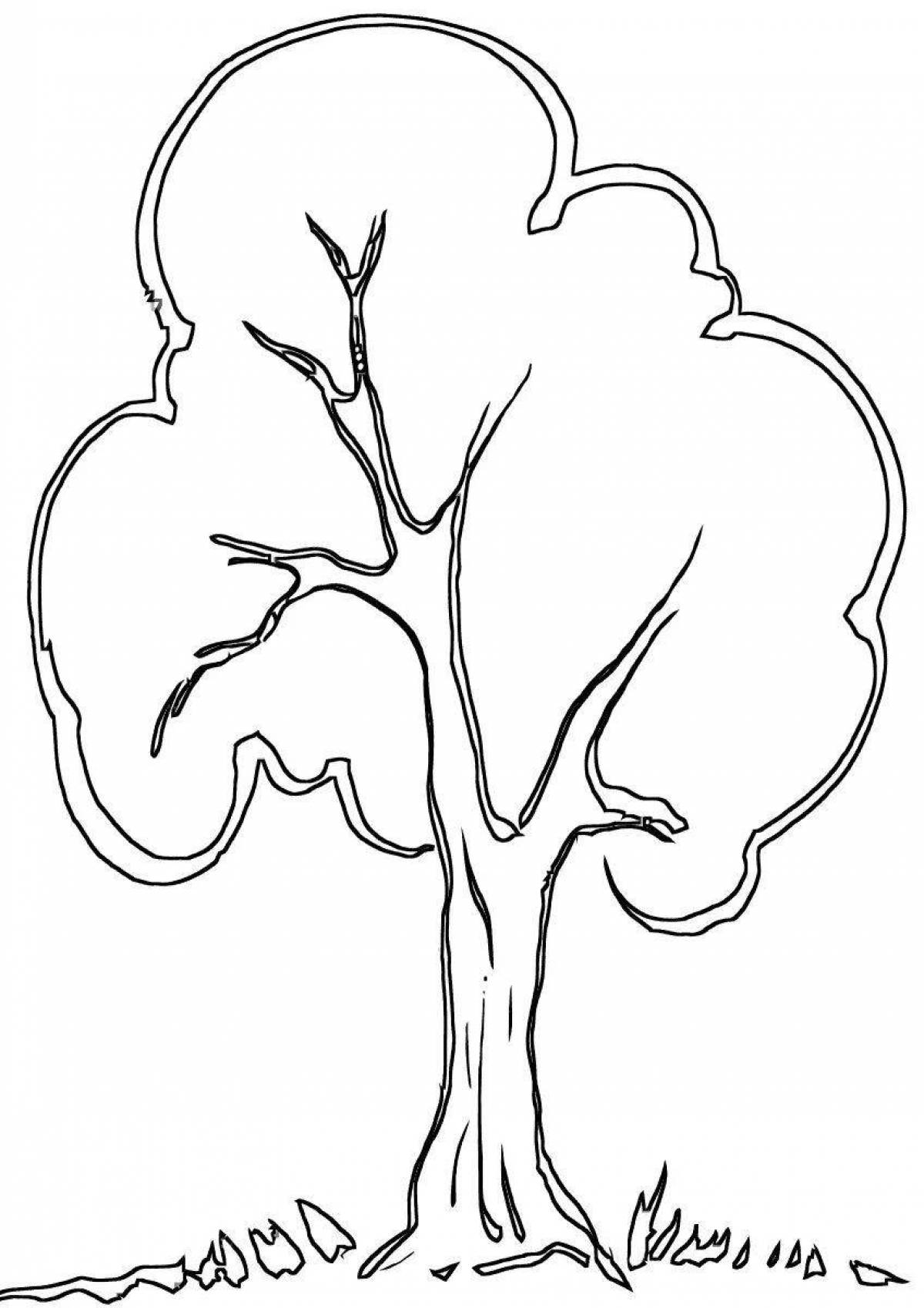 Tree without leaves outline #4