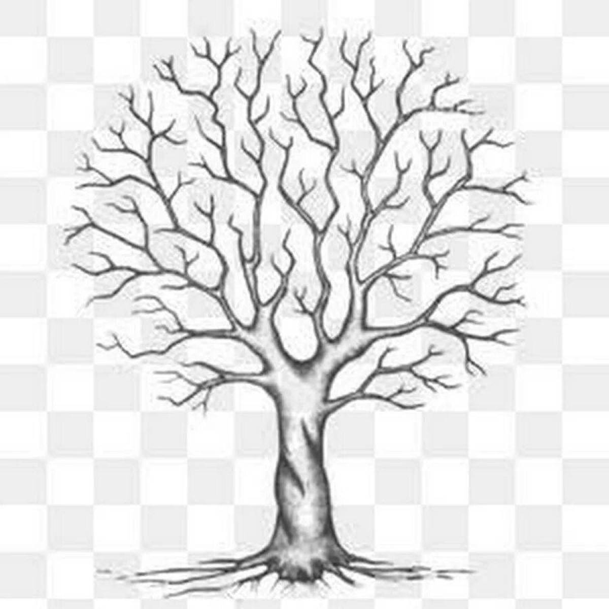 Дерево без листьев контур #9