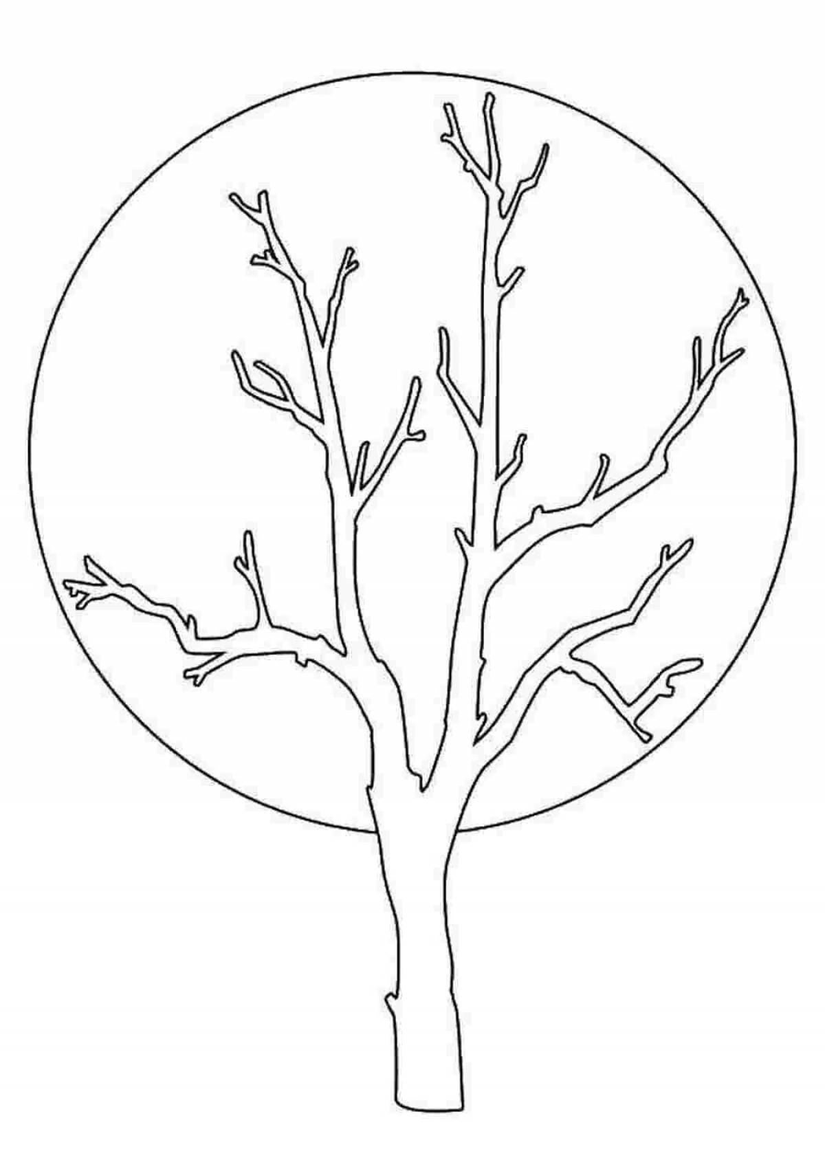 Tree without leaves outline #14