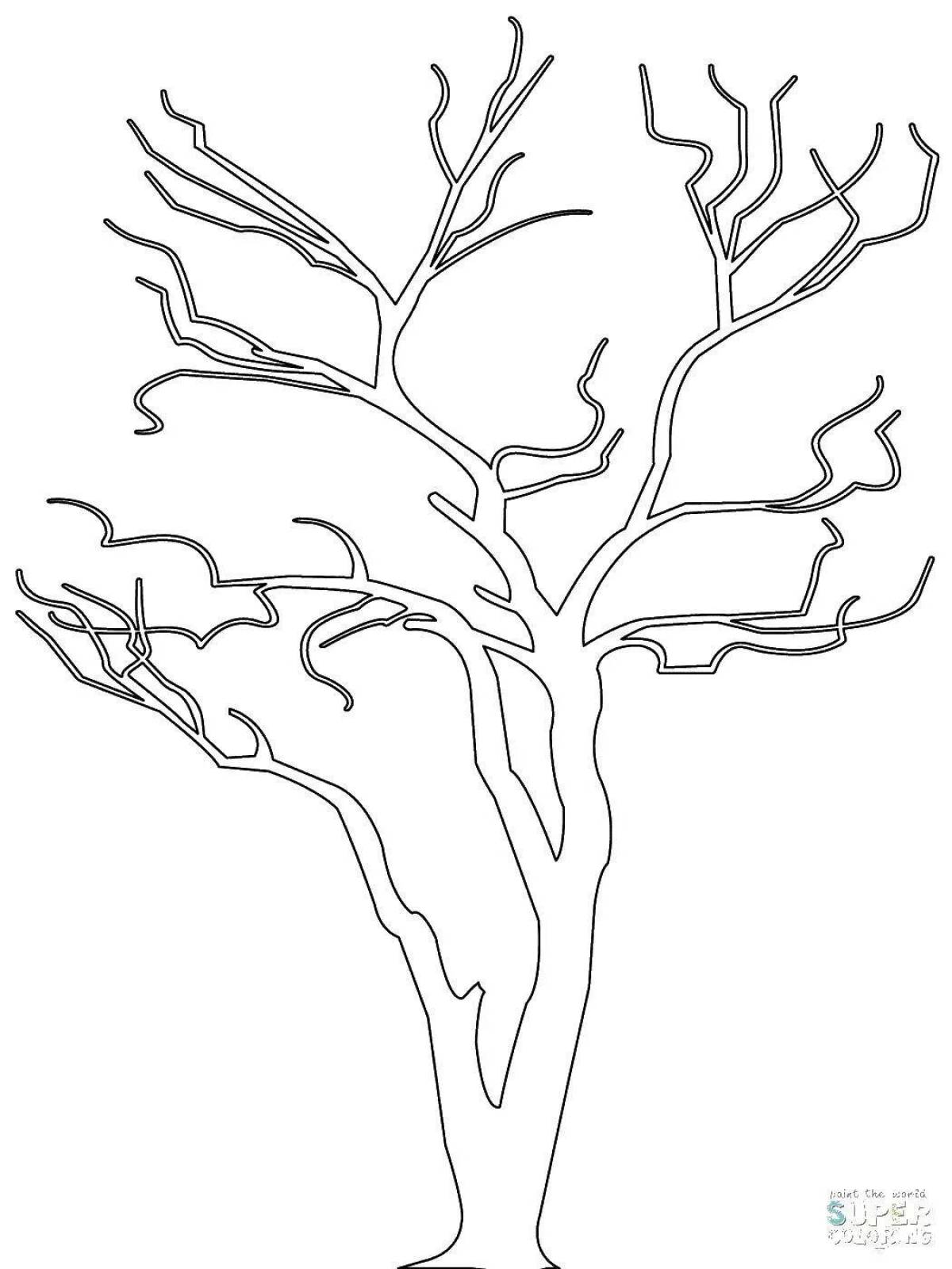 Tree without leaves outline #15