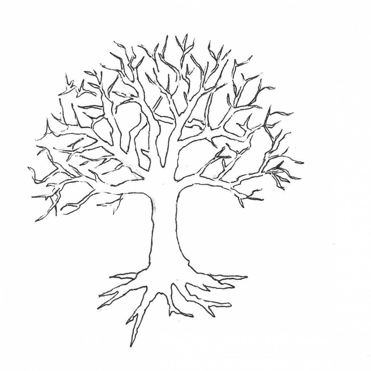 Tree without leaves outline #16