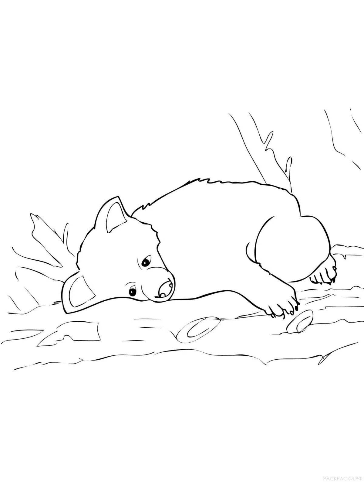 Игривый мишка в берлоге рисунок