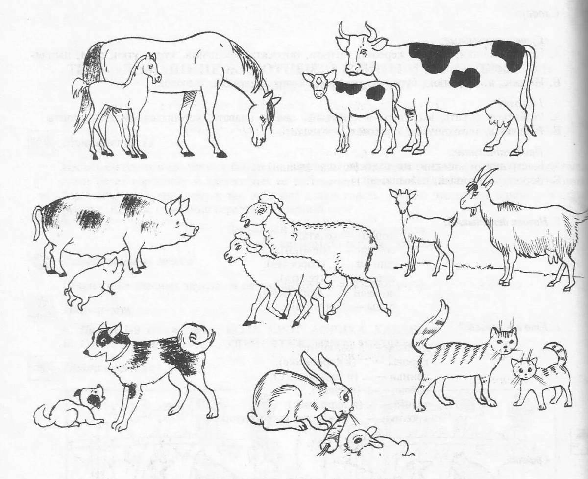 Животные группами раскраски. Животные задания для дошкольников. Рисунки домашних животных. Домашние животные и их Детеныши. Раскраска домашние животные.