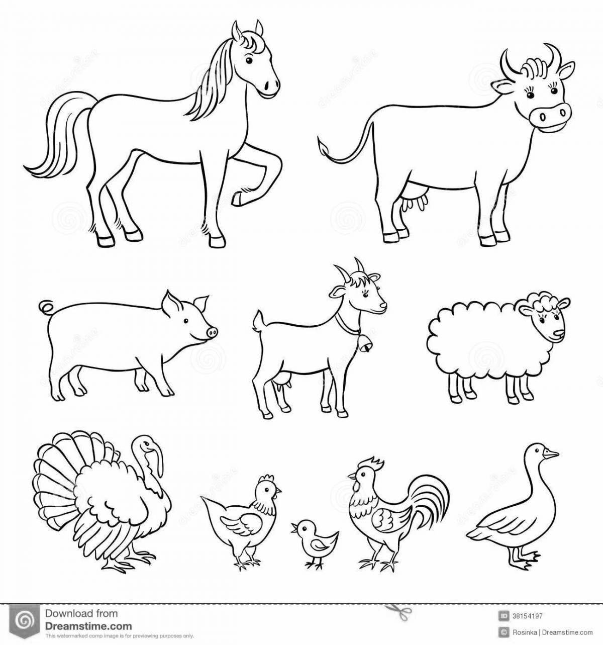 Fine coloring pages of pets of the middle group