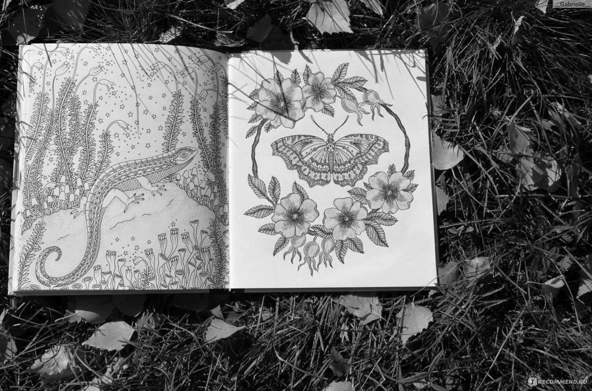 Serene coloring page of hanna carlson's forest