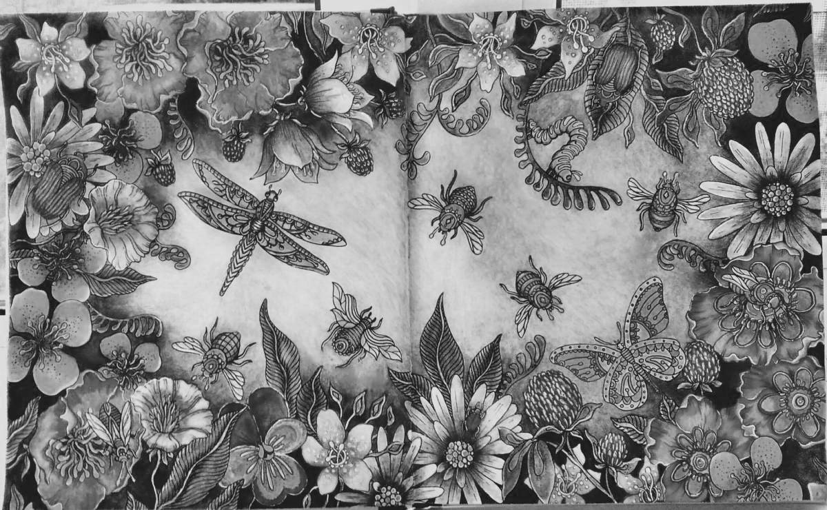 Hanna Carlson's forest sky coloring