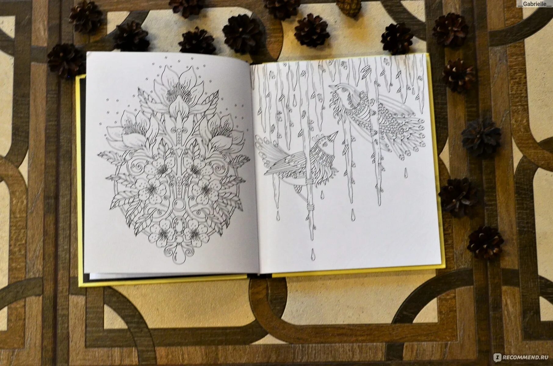 Hanna Carlson's Fairy Forest Coloring Book