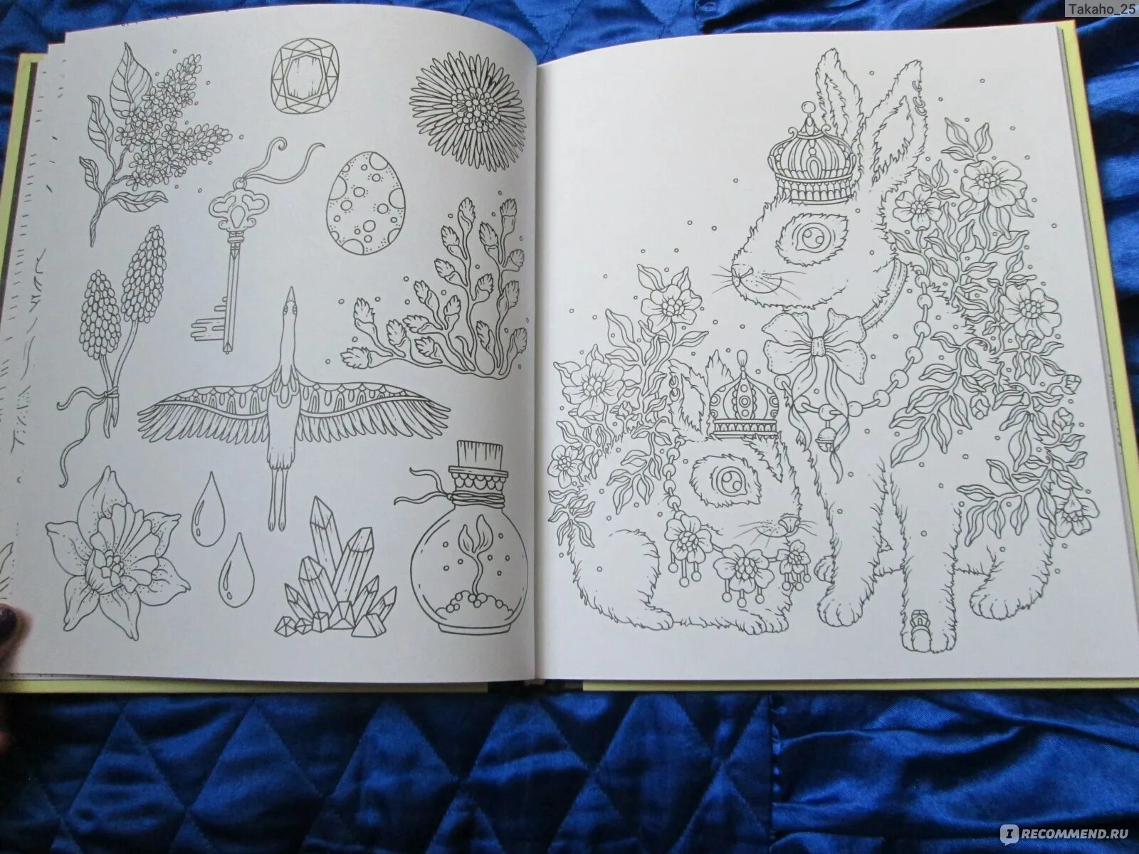 Hanna carlson's elegant forest coloring