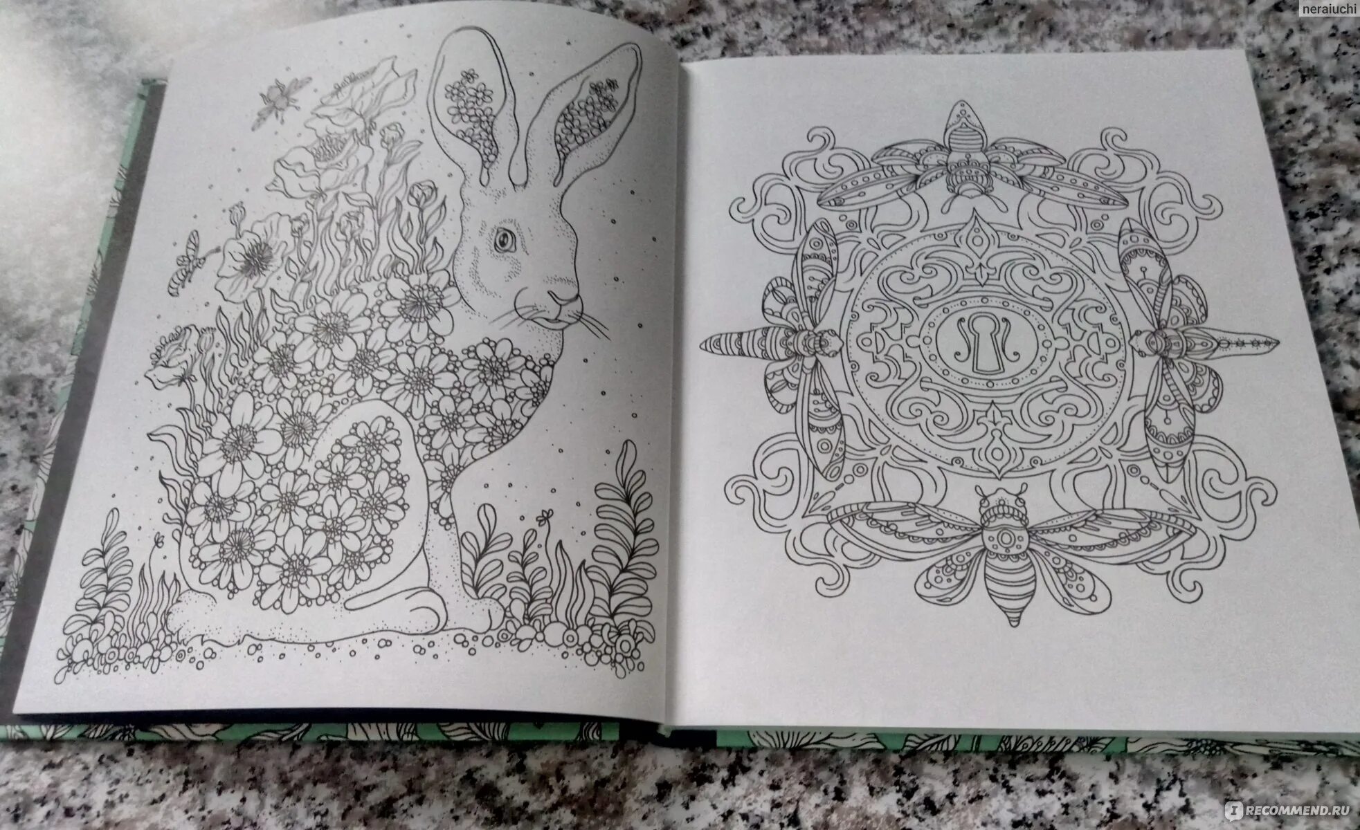 Exalted coloring page of hanna carlson's forest