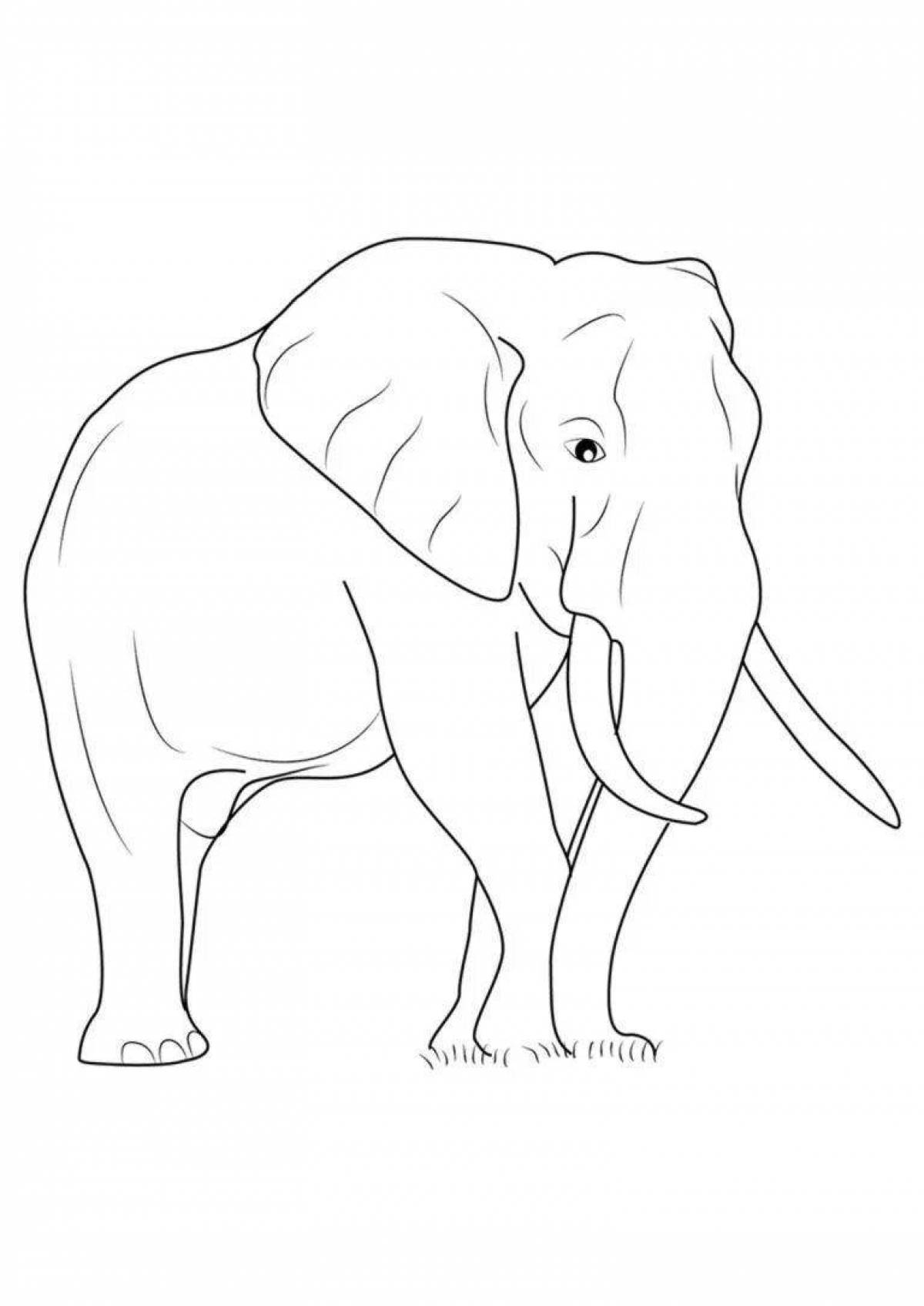 Coloring book charming elephant kuprin