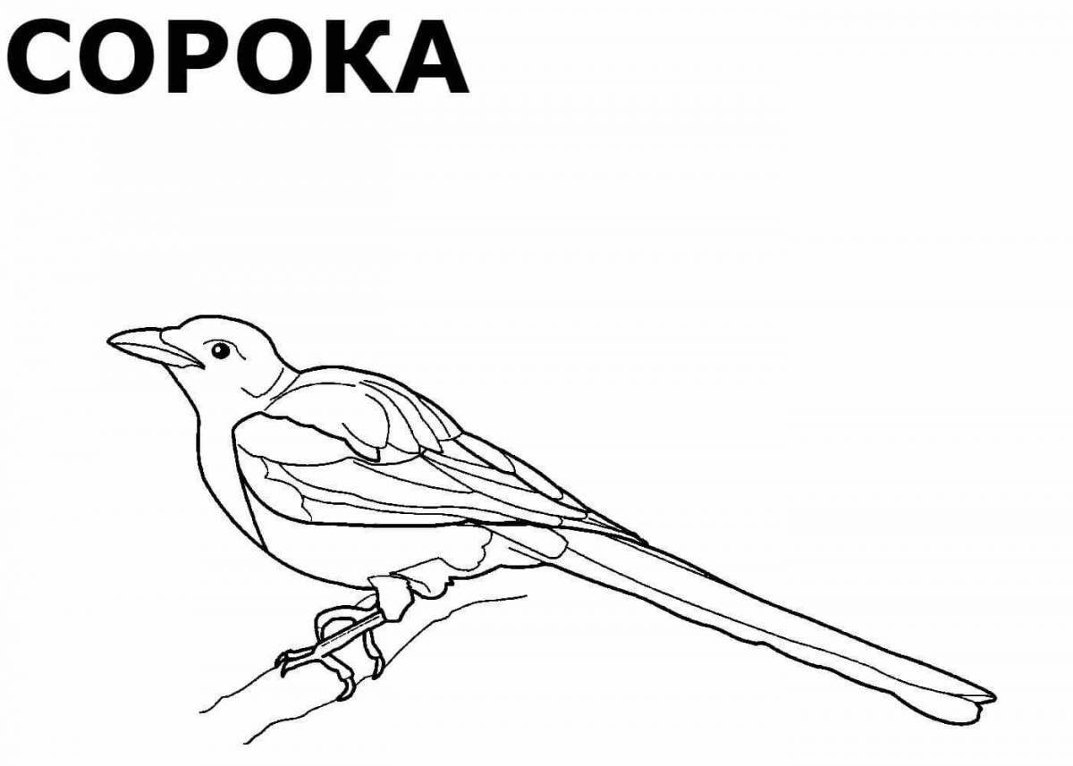 Coloring page playful winter birds