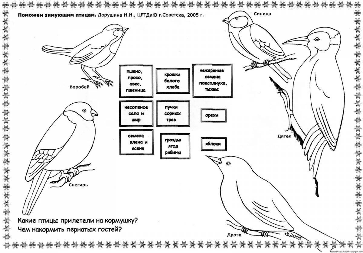 Красочно детализированная страница раскраски зимних птиц