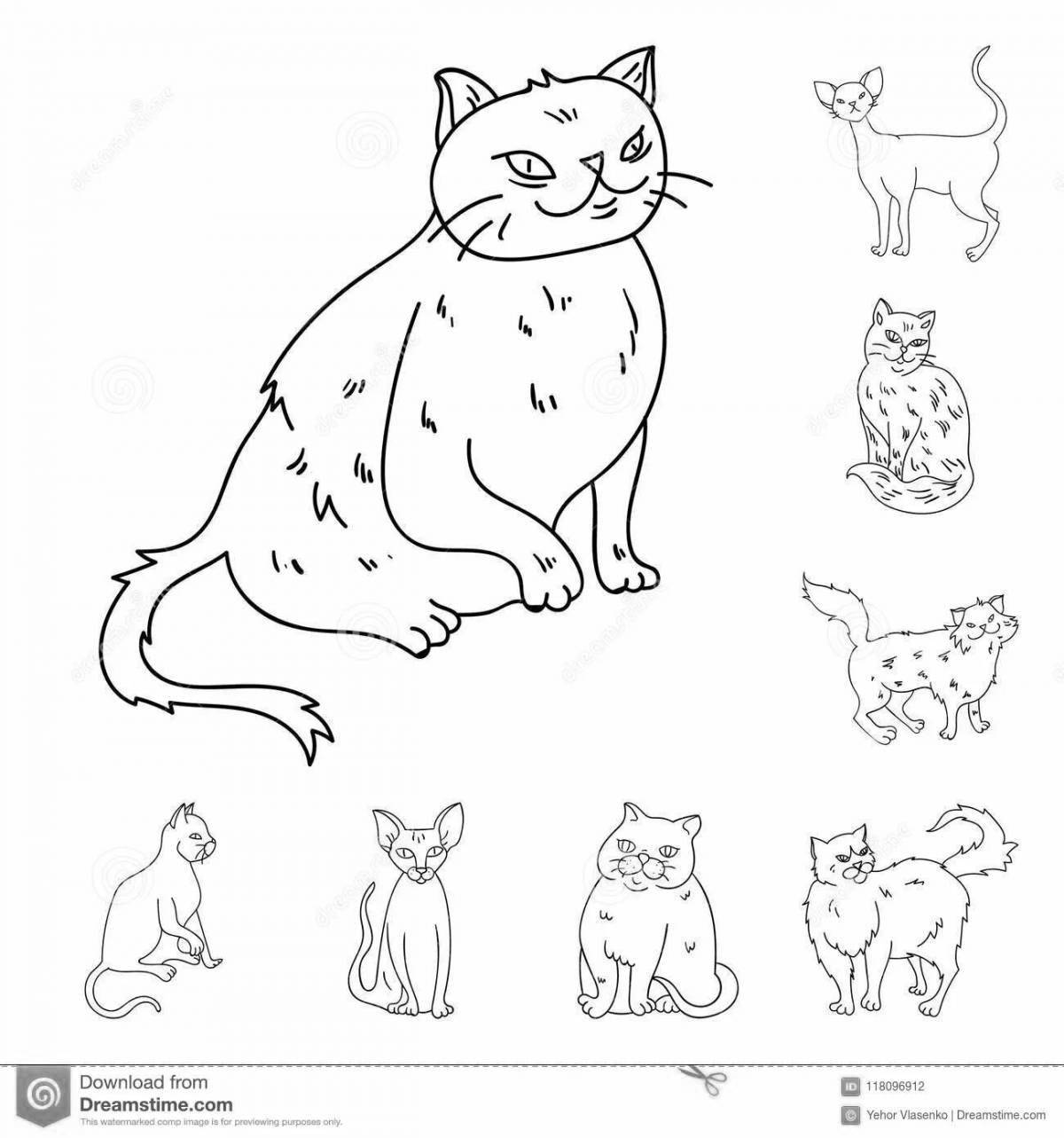Majestic coloring page of cat breeds with names