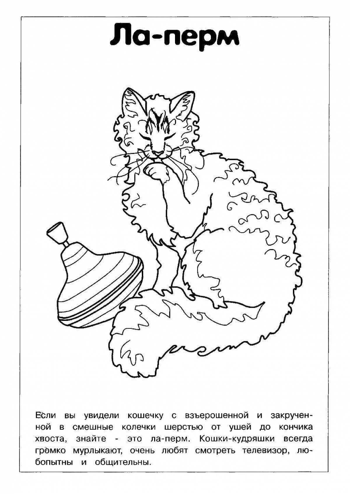 Amazing coloring pages of cat breeds with names