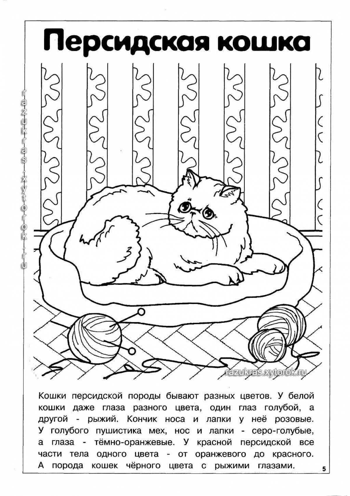 Beautiful cat breed coloring book with names