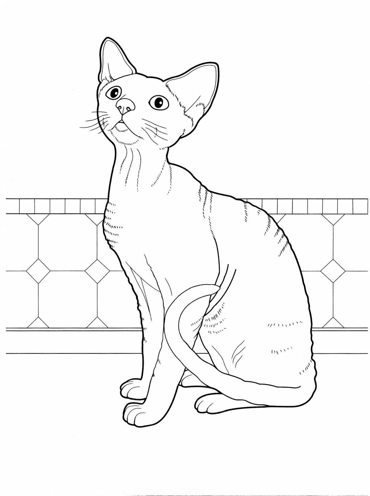 Exquisite cat breed coloring book with names