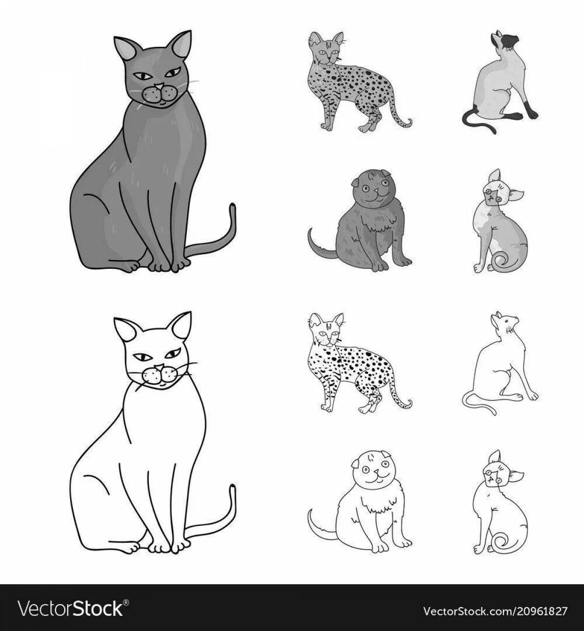 A fascinating coloring book of cat breeds with names