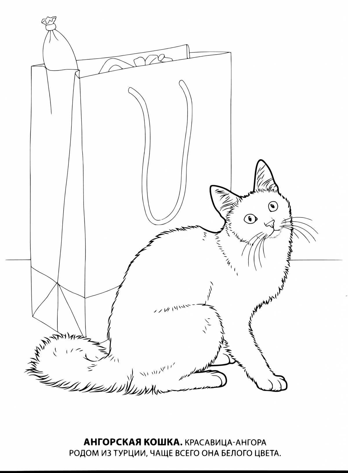 Great coloring book of cat breeds with names