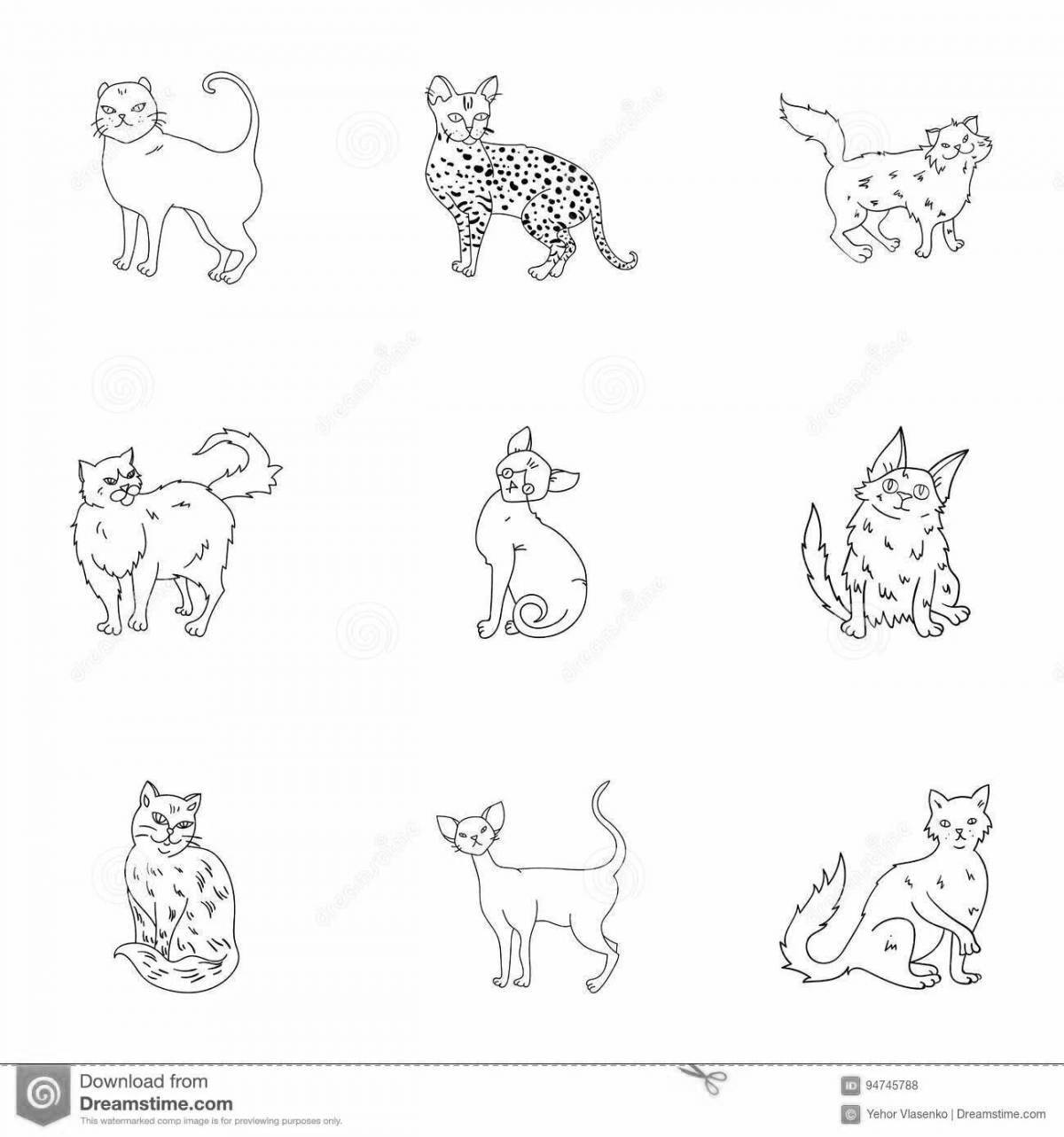 Dazzling cat breed coloring book with names