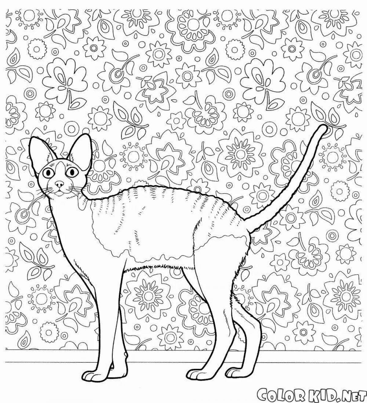 Animated coloring of cat breeds with names