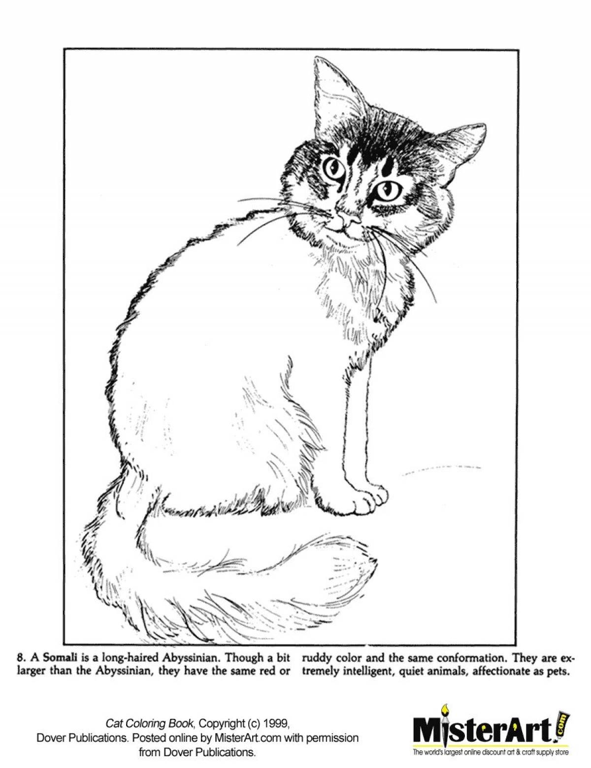 Amazing coloring pages of cat breeds with names