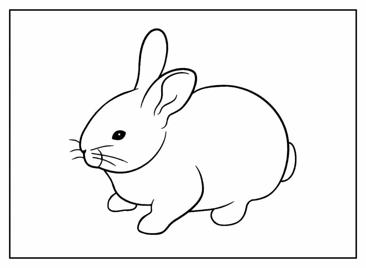 Comic coloring book for bunny girls