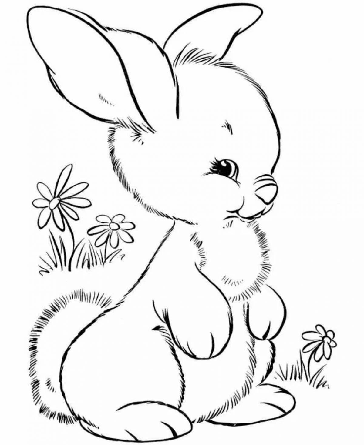 Exotic rabbit coloring pages for girls