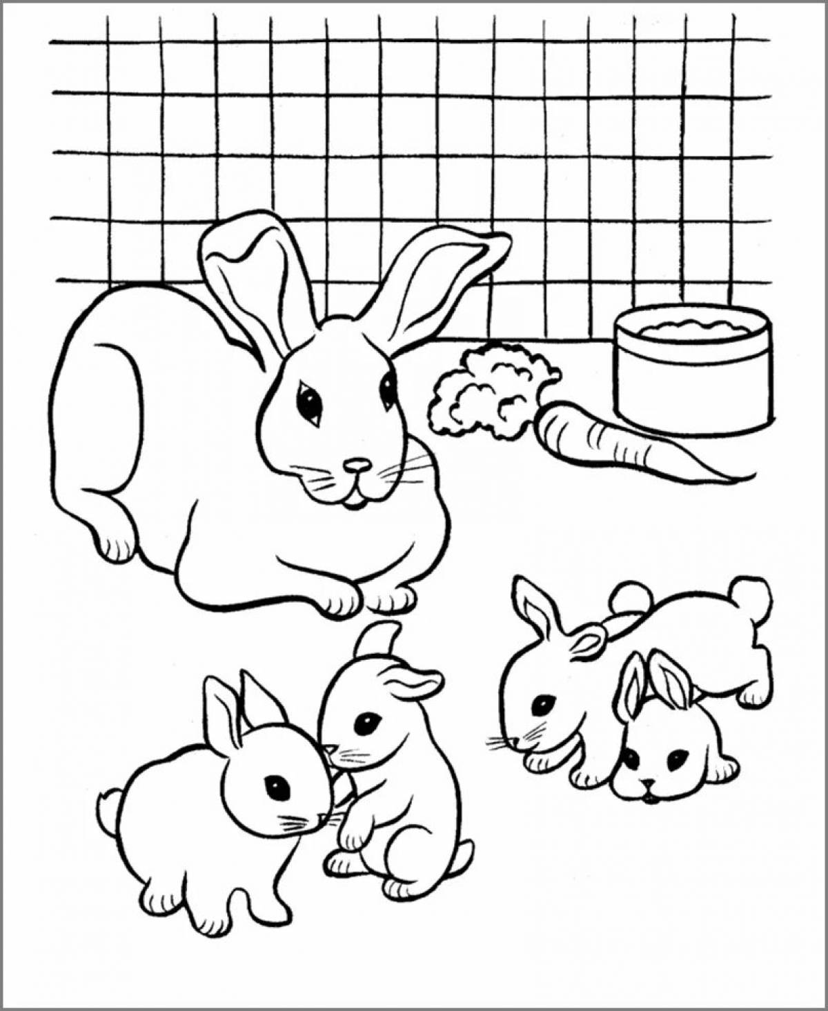 Очаровательные раскраски кроликов для девочек