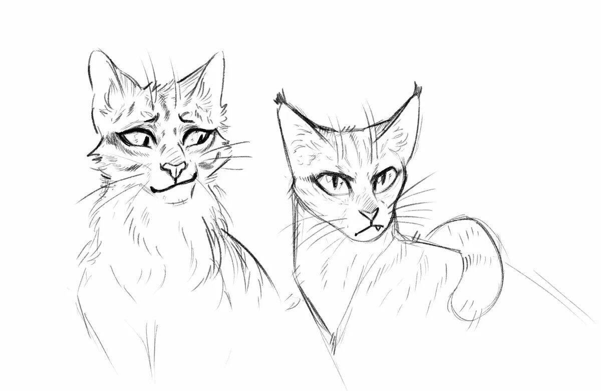 Exquisite blue star cats warriors coloring page