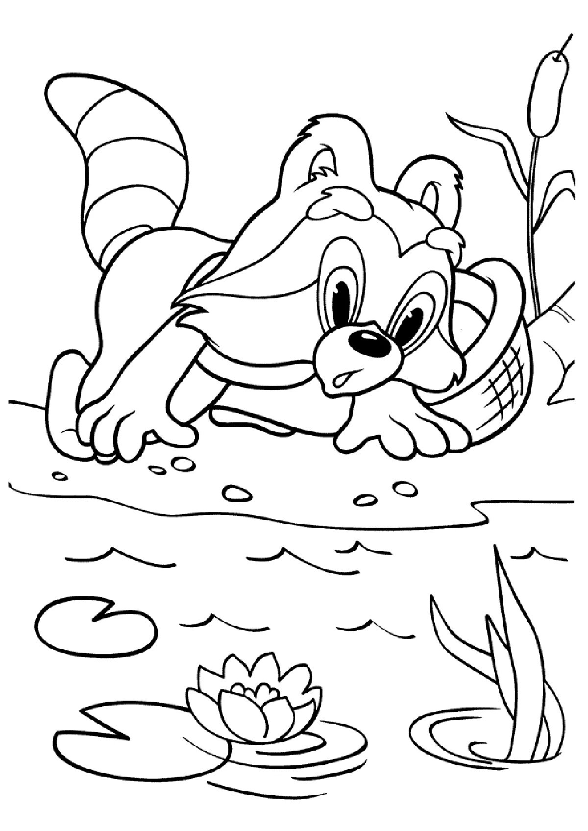 Baby cartoon raccoon #13