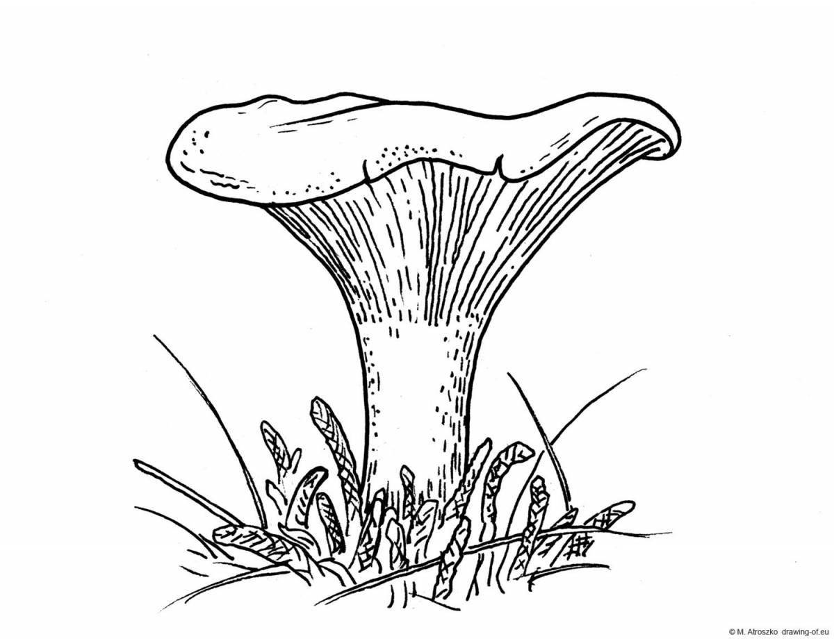 Colorful chanterelle mushroom coloring page