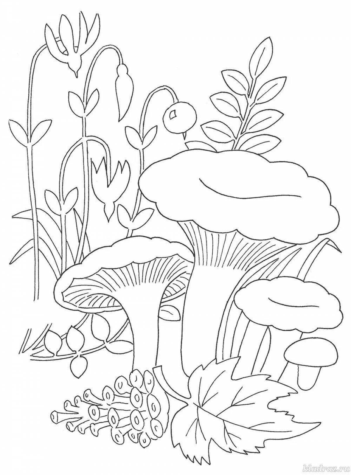 Coloring page joyful chanterelle mushroom