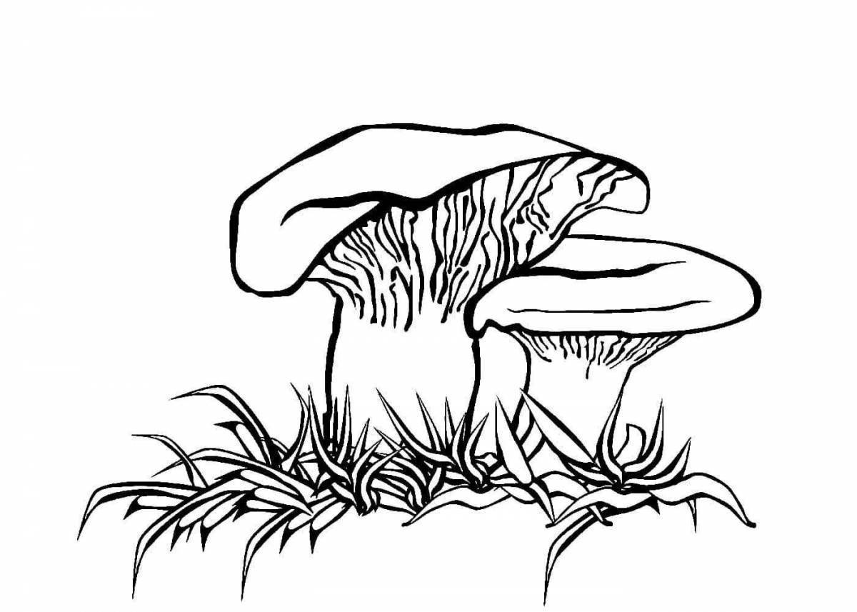 Coloring funny chanterelle mushroom