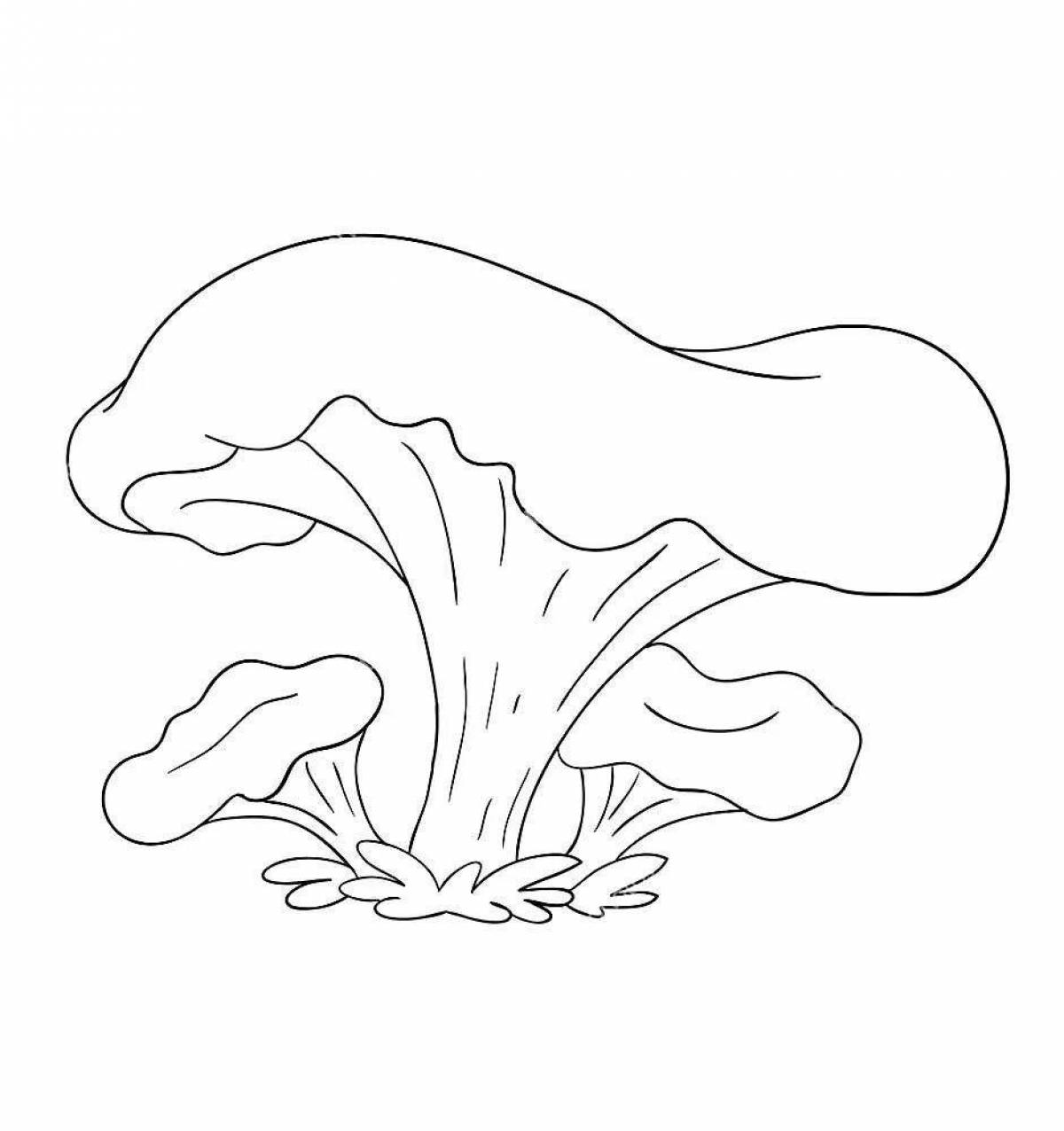 Coloring page charming chanterelle mushroom