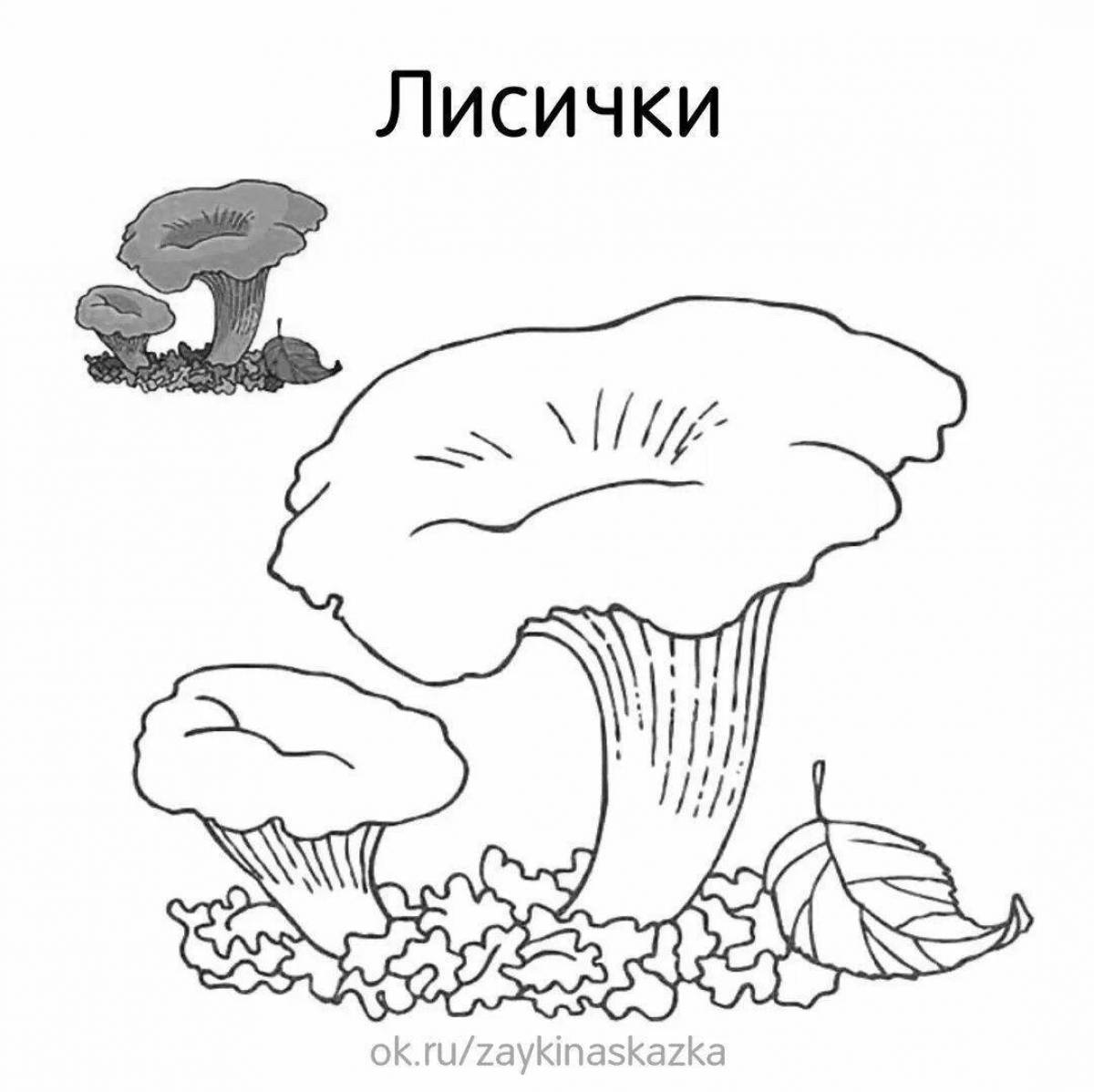 Coloring book magic mushroom chanterelle